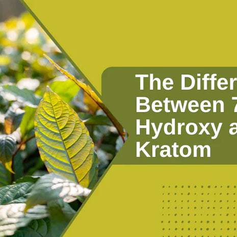 🌿 Kratom vs. 7-Hydroxy: What’s the Real Deal? 💊✨