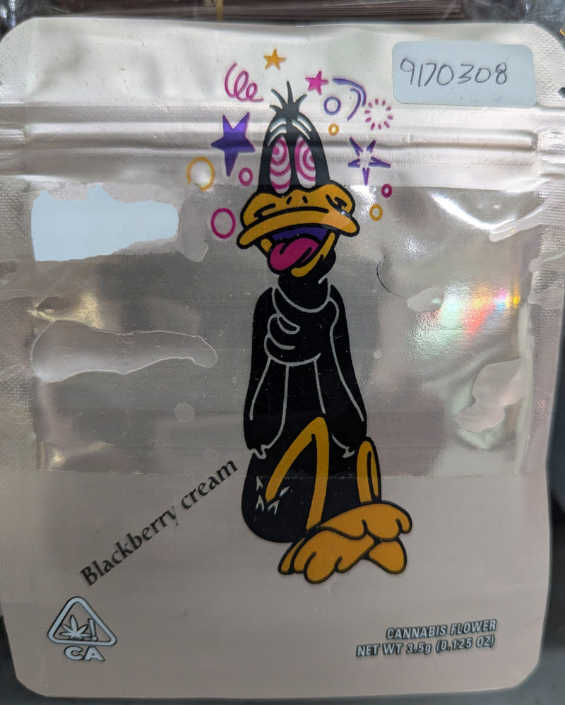 Smell-proof Daffy Duck Blackberry Cream Mylar bags by The Baggie Store, 50-pack, featuring colorful cartoon character design and resealable closure.