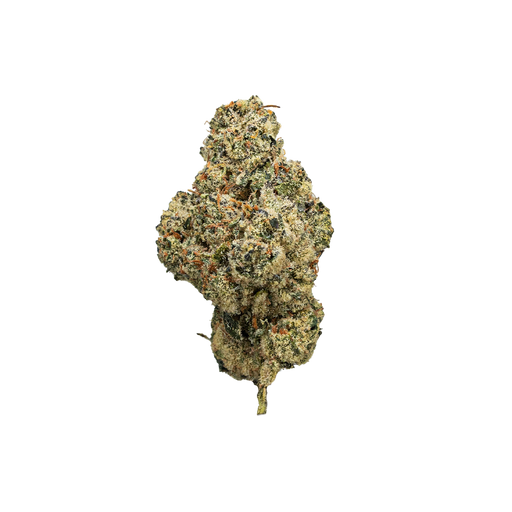 TRUEMOOLA THCA Flower Blueberry Sugar Indica 3.5g with vibrant blue and purple buds, showcasing dense flower with orange pistils.