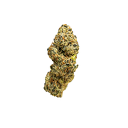 TRUEMOOLA THCA Flower White Cherry Sativa 3.5g, fresh cannabis buds with white cherry aroma and vibrant green coloration.