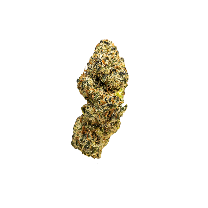 TRUEMOOLA THCA Flower White Cherry Sativa 3.5g, fresh cannabis buds with white cherry aroma and vibrant green coloration.