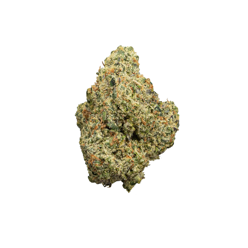 TRUEMOOLA THCA Flower Monkey Bizz Sativa 3.5g showcasing green buds with orange pistils and frosty trichomes.