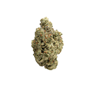 TRUEMOOLA THCA Flower Lemon Kush Sativa 3.5g with vibrant green buds and orange hairs, showcasing fresh cannabis flowers.