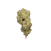 TRUEMOOLA THCA Flower Oreoz Indica strain in 3.5g package, showcasing dense, frosty buds with orange hairs and trichomes.