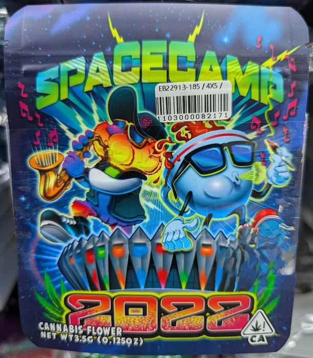 Spacecamp 2022 Mylar Bags, 50bags/pk