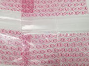 Piggy Bank 2020 Original Apple Bags 2 x 2 inch