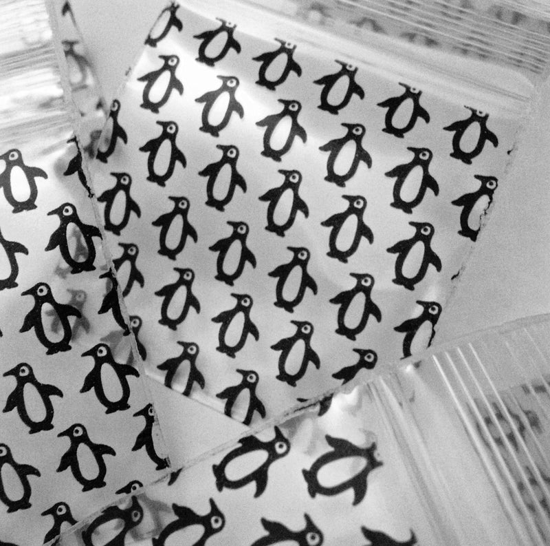 PENGUINS (CHOOSE SIZE) - TBS Supply Co
