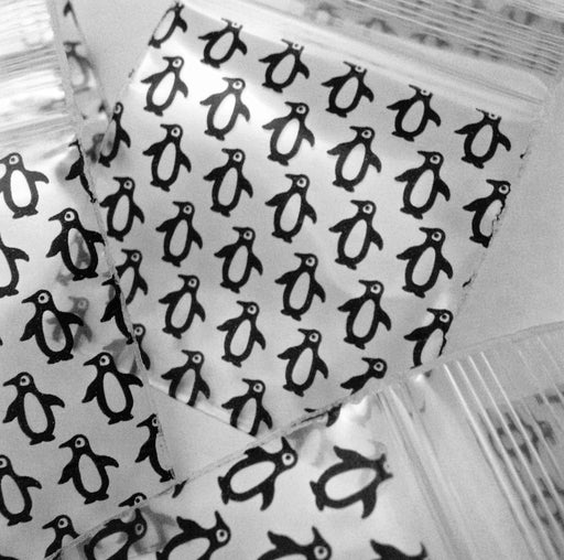 PENGUINS (CHOOSE SIZE) - TBS Supply Co