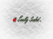 Smelly Sealed No Odor Proof Double Thick Reusable Ziplock Storage Zipper Bag, Clear, 4 mil - The Baggie Store