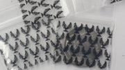 1034 Original Mini Ziplock 2.5mil Plastic Bags 1" x 3/4" Reclosable Baggies (Eagle) - The Baggie Store