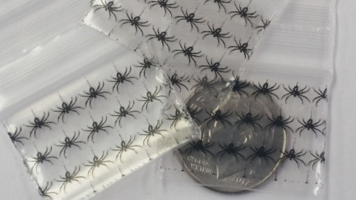 1034 Original Mini Ziplock 2.5mil Plastic Bags 1" x 3/4" Reclosable Baggies (Spider) - The Baggie Store