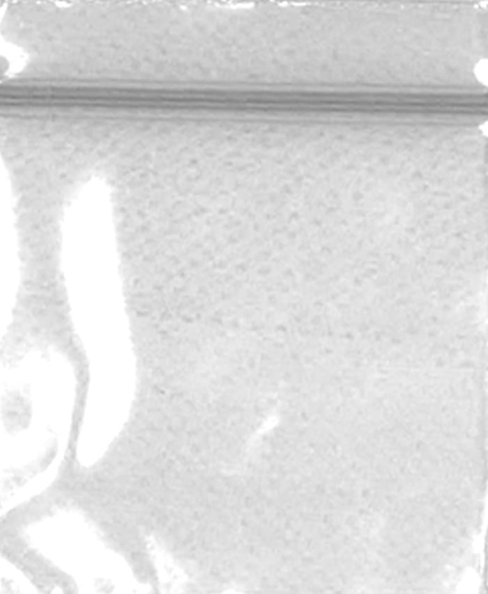 1520 Original Mini Ziplock 2.5mil Plastic Bags 1.5" x 1" Reclosable Baggies (Clear) - The Baggie Store