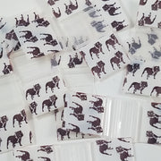 5858 Original Mini Ziplock 2.5mil Plastic Bags 5/8" x 5/8" Reclosable Baggies (Top Dog) - The Baggie Store