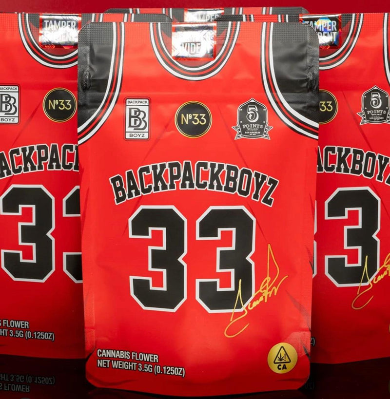 Smell-proof No. 33 Backpack Boyz Mylar Bags by The Baggie Store, featuring durable, resealable packaging for secure storage
