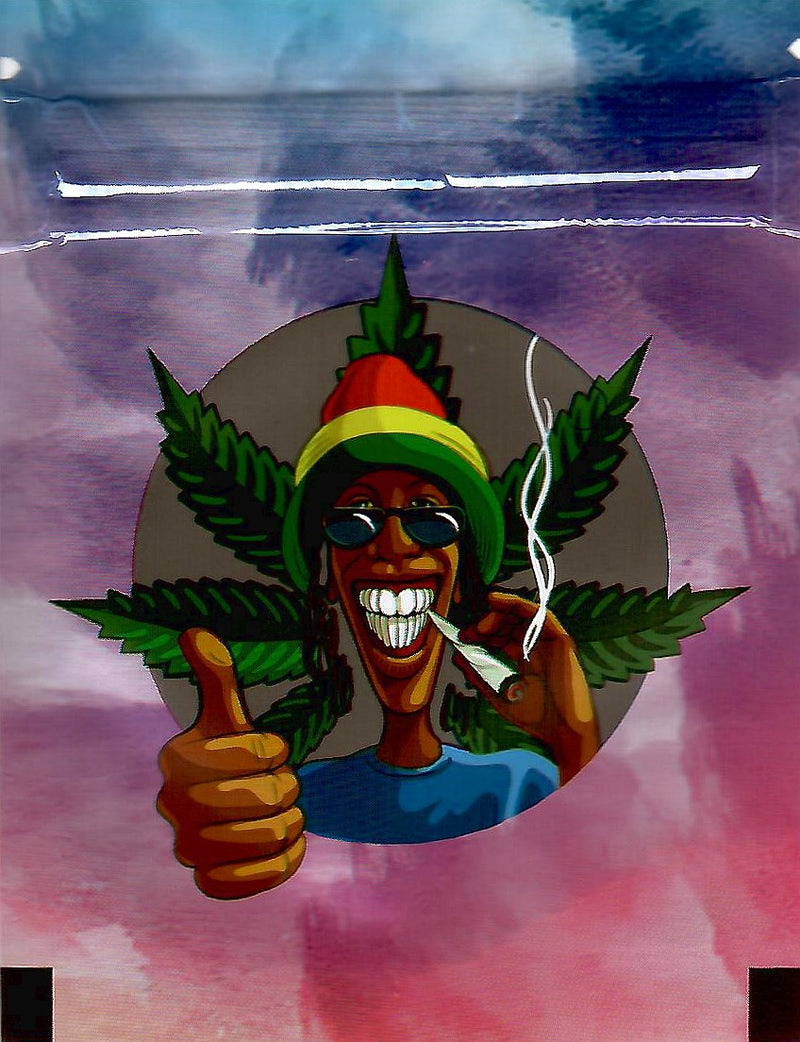 Set of 100 Rasta-themed smell-proof Mylar bags by The Baggie Store, featuring vibrant Rasta colors and secure closure.