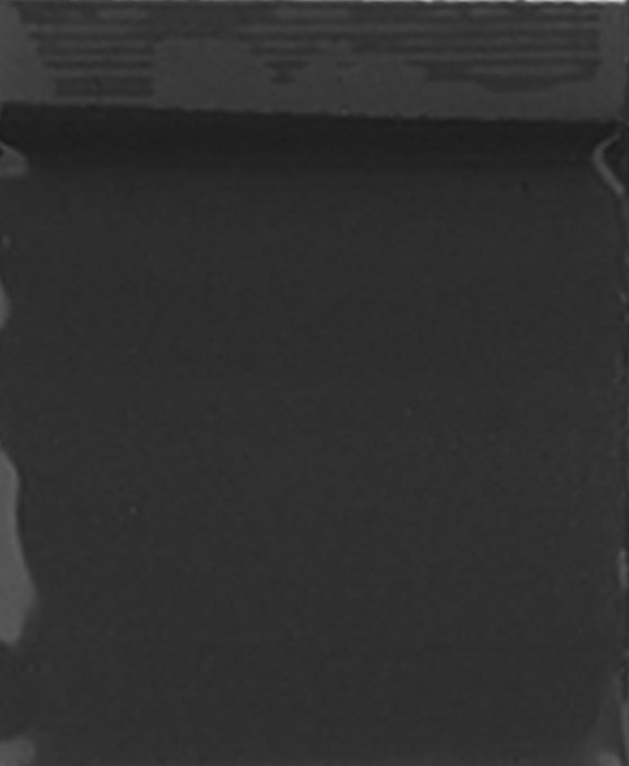 2015 Original Mini Ziplock 2.5mil Plastic Bags 2" x 1" Reclosable Baggies (Black) - The Baggie Store