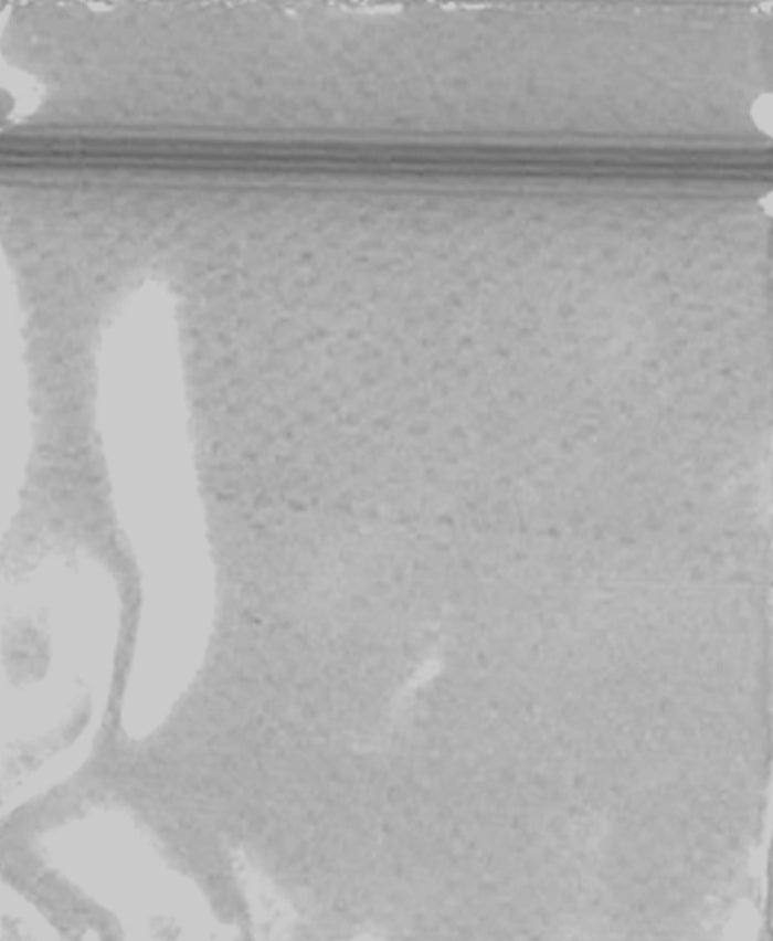 15125 Original Mini Ziplock 2.5mil Plastic Bags 1.5" x 1.25" Reclosable Baggies (Silver) - The Baggie Store